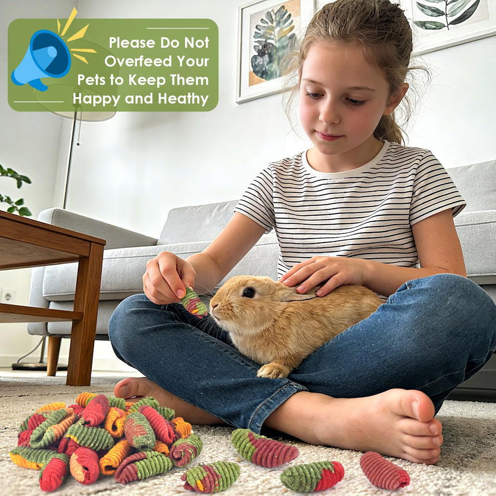 Friandises ERKOON pour chinchilla usage quotidien comme récompense ludique.
