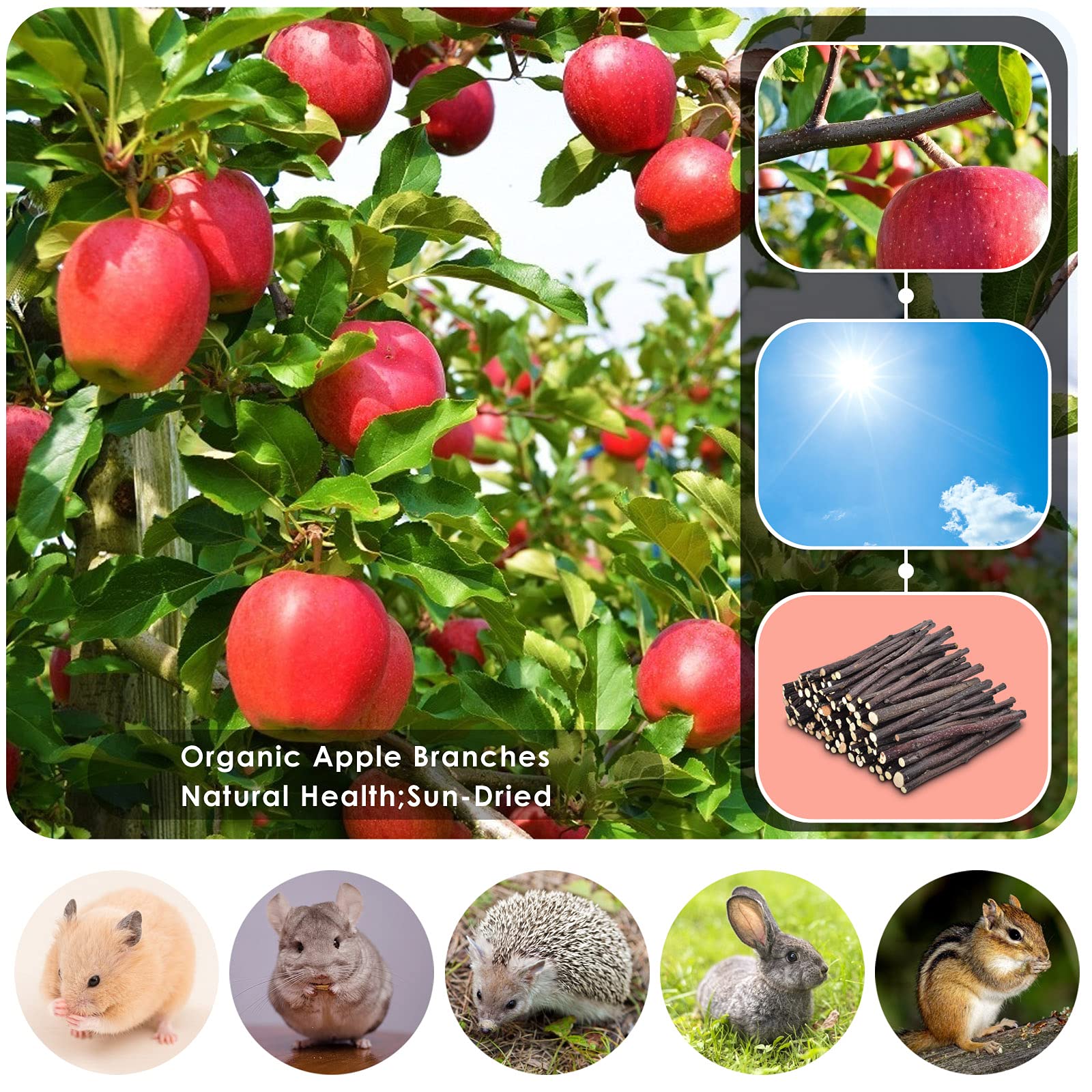 ERKOON Jouets-Grignage Petits Animaux – stimulation mentale et dentition.