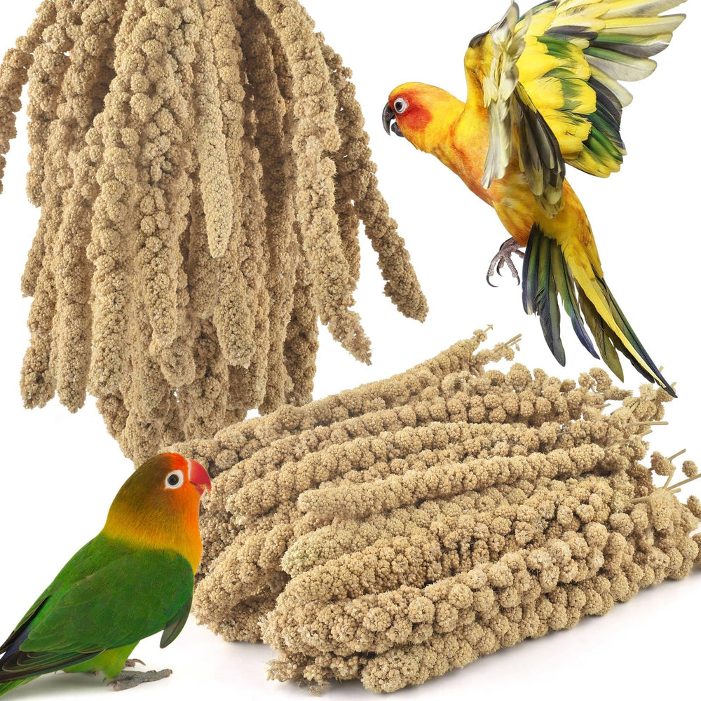 ERKOON Millet Spray en emballage gros volume, pratique pour l'alimentation récurrente des oiseaux.