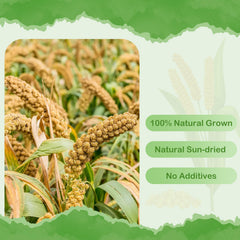 ERKOON Millet Spray : un oiseau mange du millet comme récompense savoureuse.