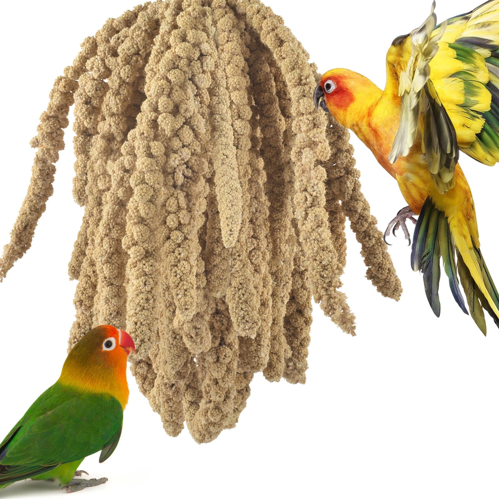 ERKOON Spray Millet emballage 680 g, source naturelle pratique pour alimentation quotidienne des oiseaux.