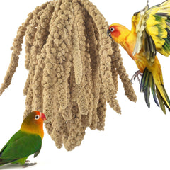 ERKOON Spray Millet emballage 680 g, source naturelle pratique pour alimentation quotidienne des oiseaux.