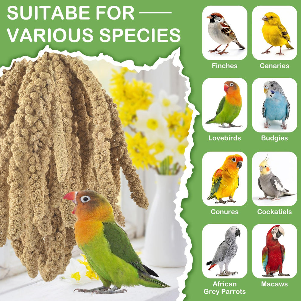 ERKOON Spray Millet format gros volume, pratique pour éleveurs et familles multi-animaux.