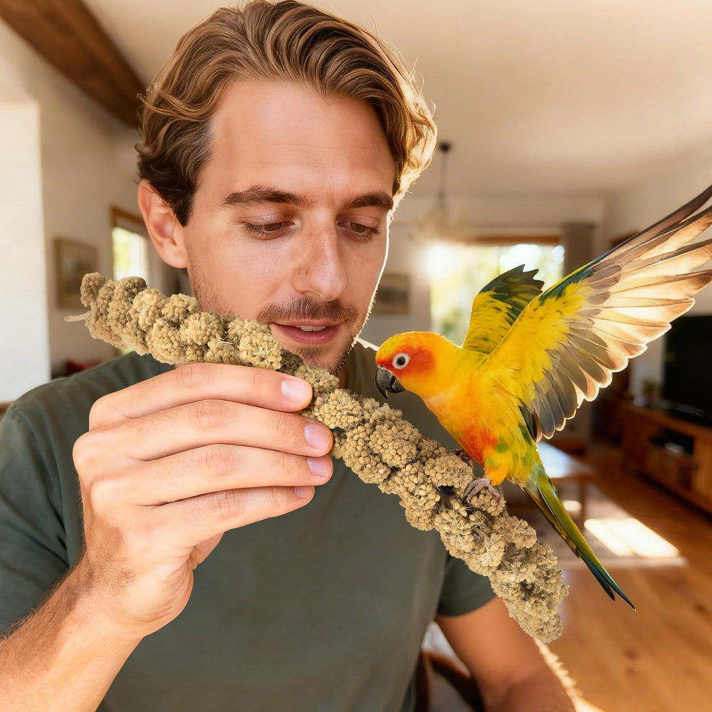 ERKOON Spray Millet hamsters compatibles, snack partagé et polyvalent.