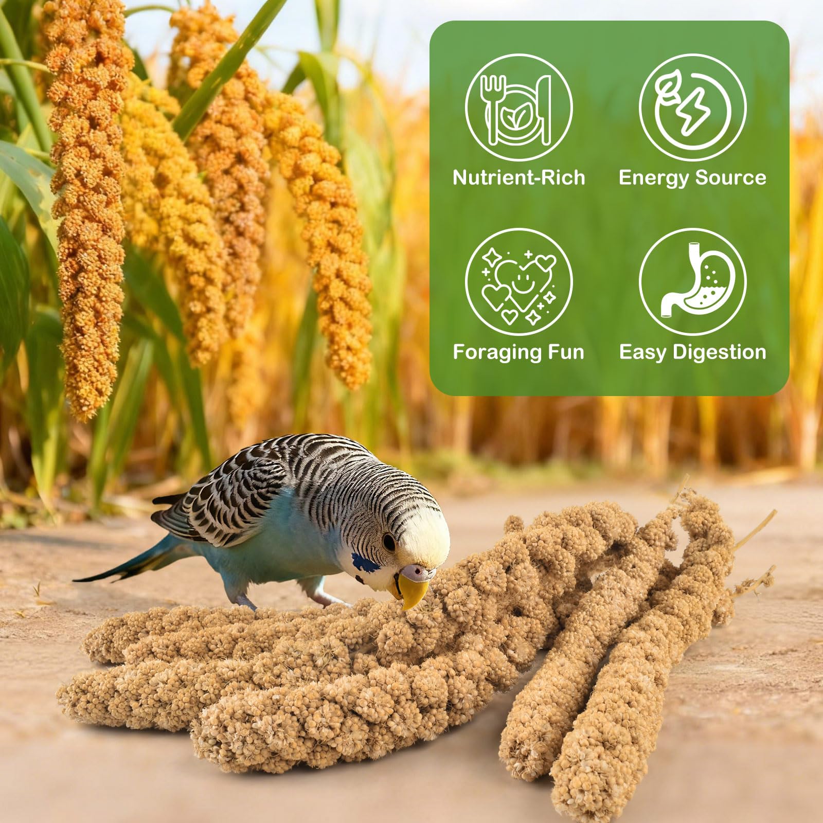 ERKOON Spray Millet récompense quotidienne, renforçant le lien avec votre oiseau lors des séances.