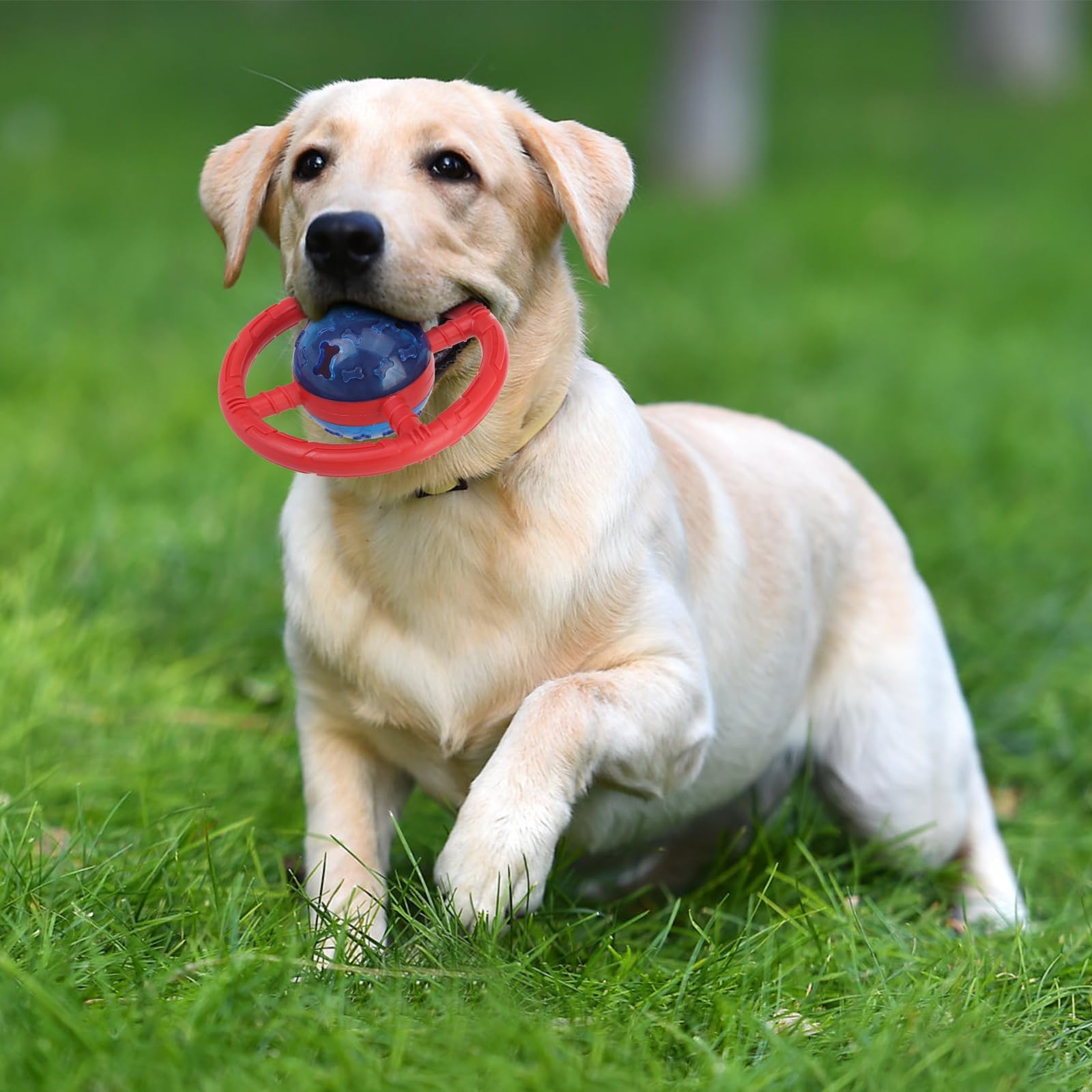 ESGPET jouet-chien-activite-interieure-exterieure, utilisable partout pour varier les jeux.