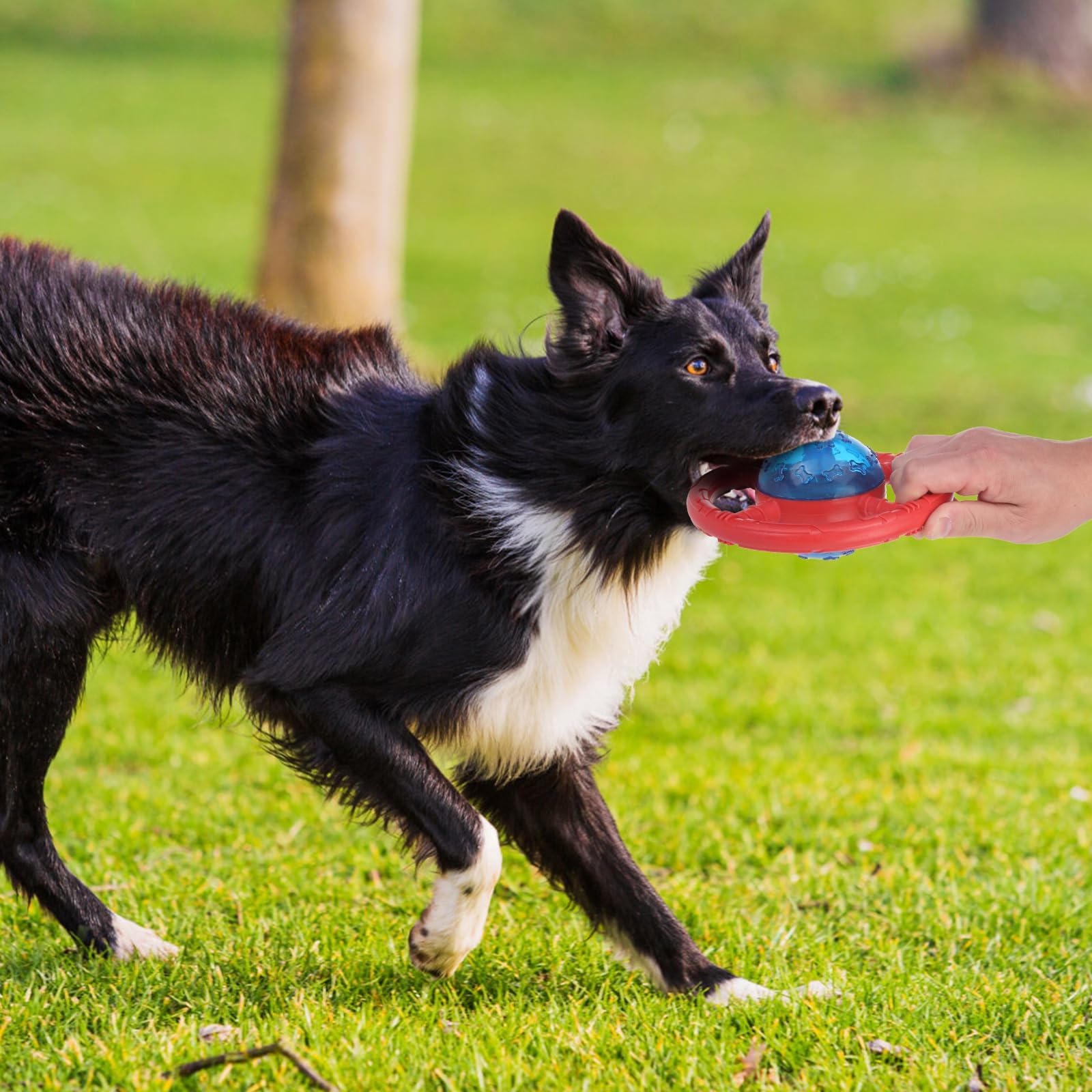 ESGPET jouet-chien-anti-destructif, canalise l’énergie et protège les objets.