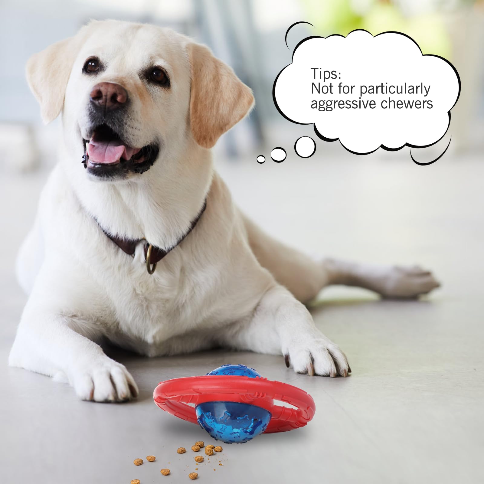 ESGPET jouet-chien-interactif, prise en main facilitée pour jeux et stimulation.