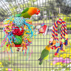 Jouets ESRISE conure en bois naturel, activité de mâchage sécuritaire.
