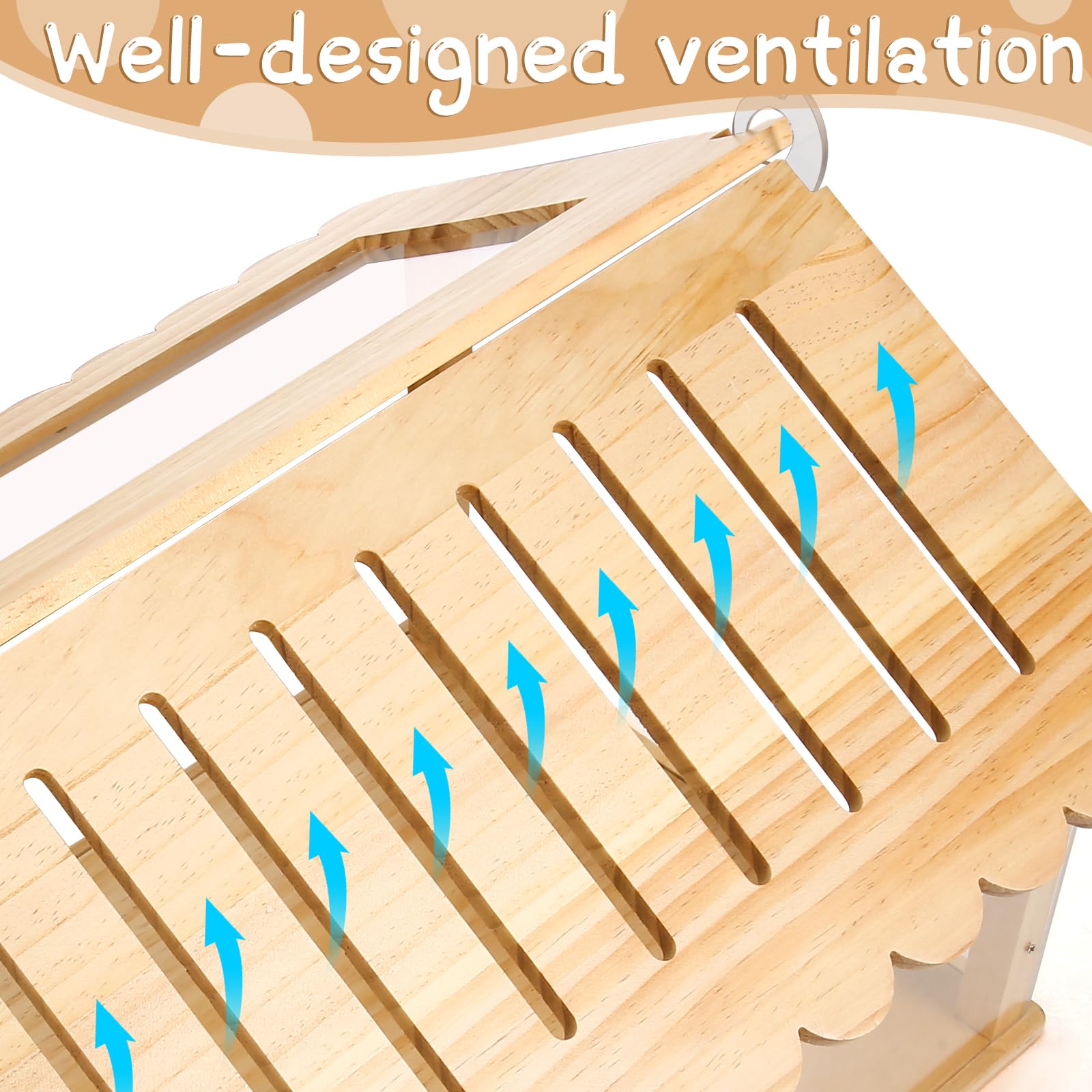 Essenhome matériaux durables bois pin et acrylique pour habitat fiable.