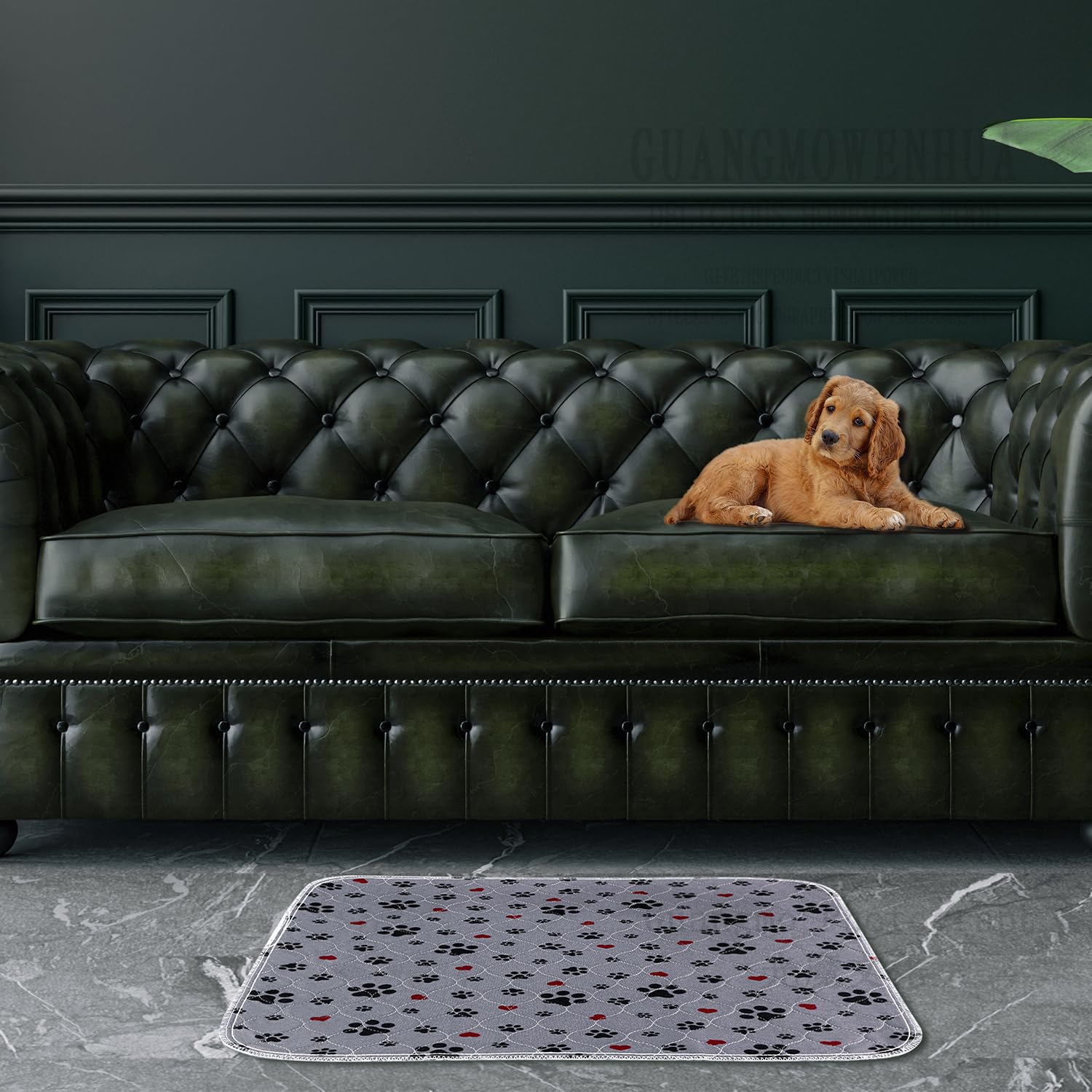 ESWIN tapis durable lavage 36x36: solution économique et éco-responsable.