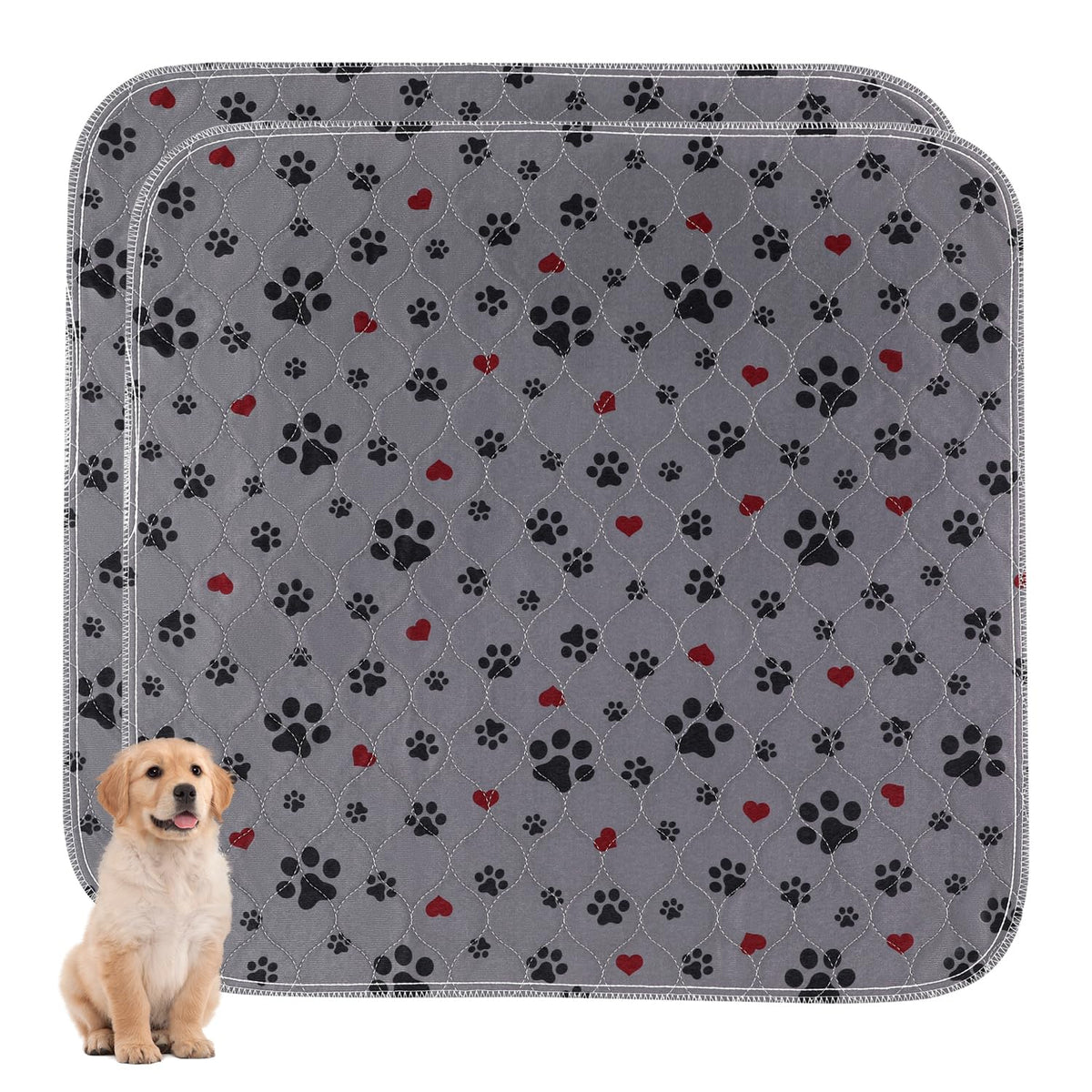 ESWIN tapis-pipi chien 36x36: grande absorption et protection du sol.