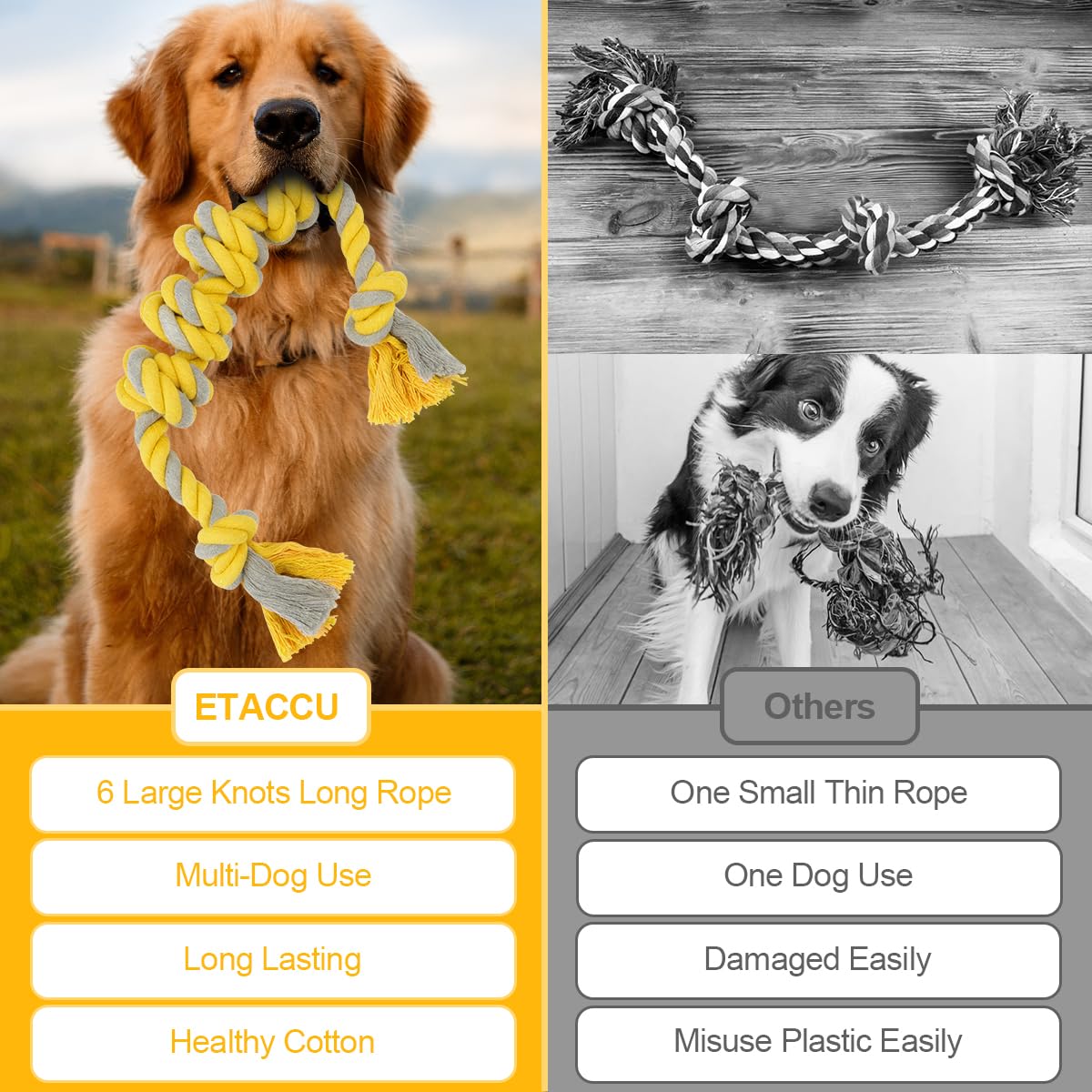 ETACCU jouet corde anxiété énergie pour chiens actifs.