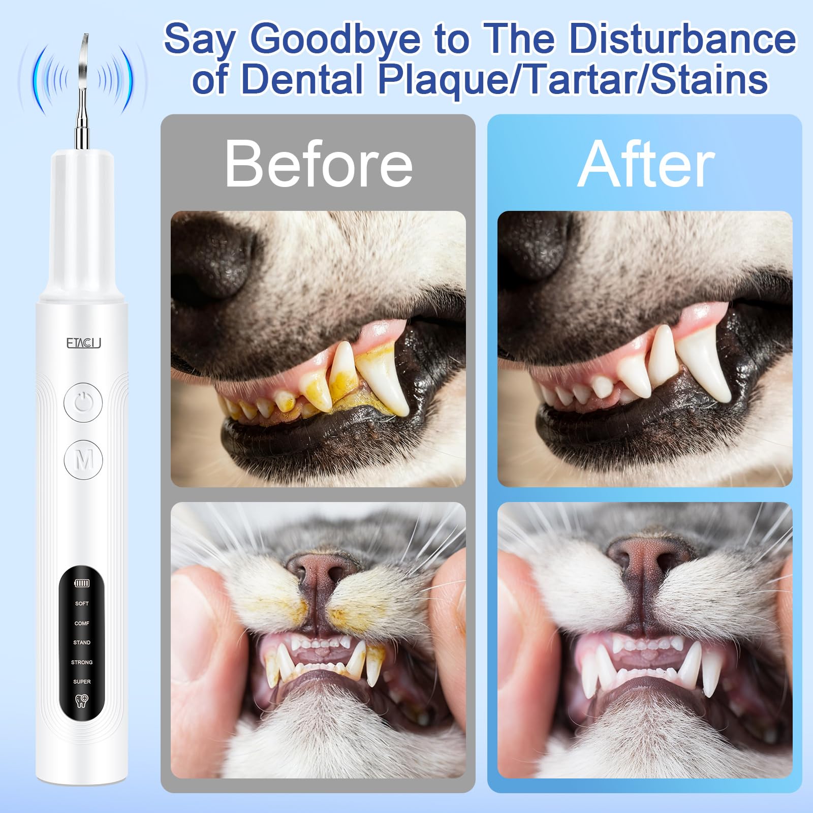 ETACCU kit accessoires dentaires chien pour nettoyer entre les dents.