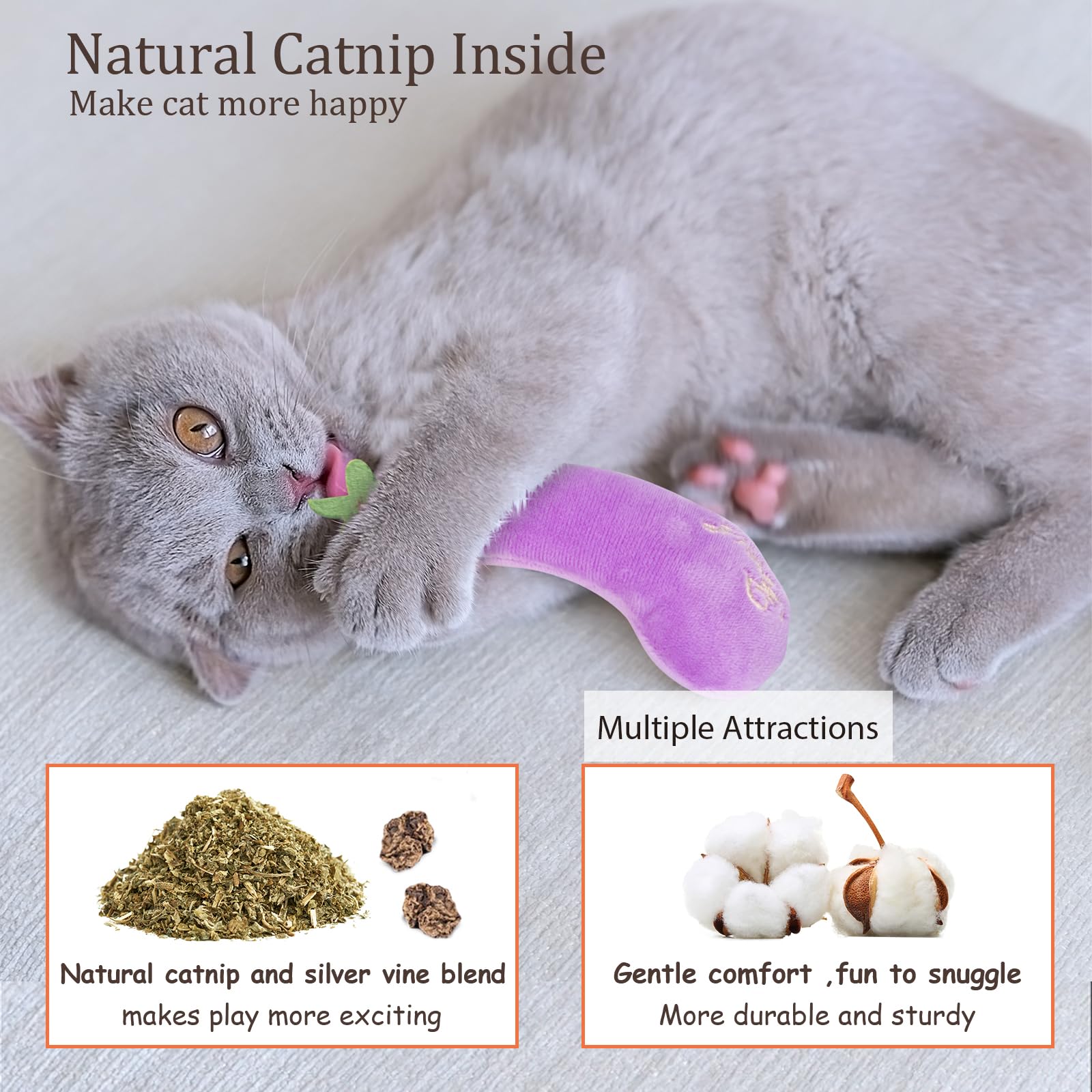 ETEKYER herbe à chat aubergine dos : présentation versatile pour différentes prises.