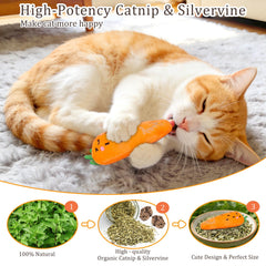 ETEKYER herbe à chat cornichon : favorise les jeux interactifs et le divertissement.
