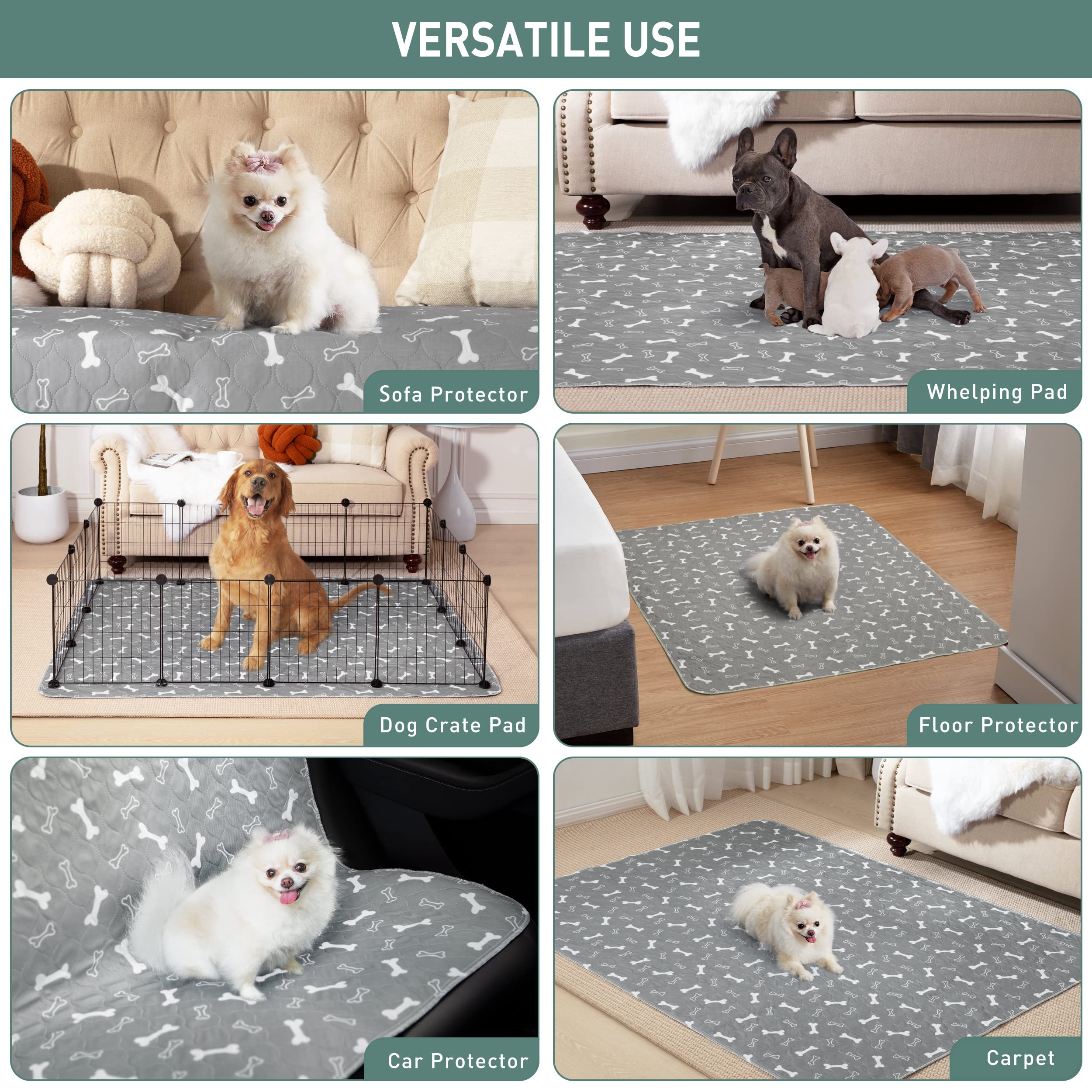 Tapis Eterish pour dressage dans cage ou parc