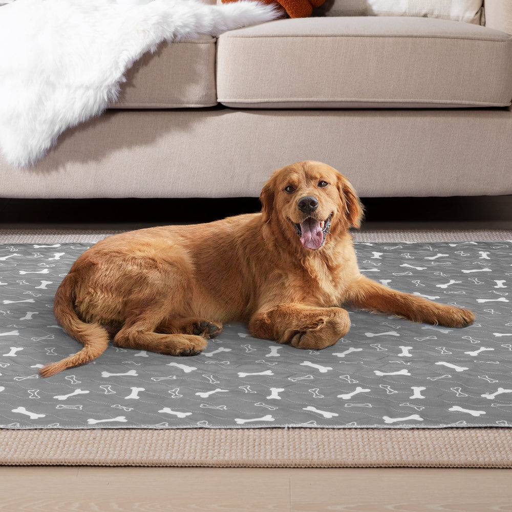 Tapis de voyage Eterish pour chien, hygiénique et portable