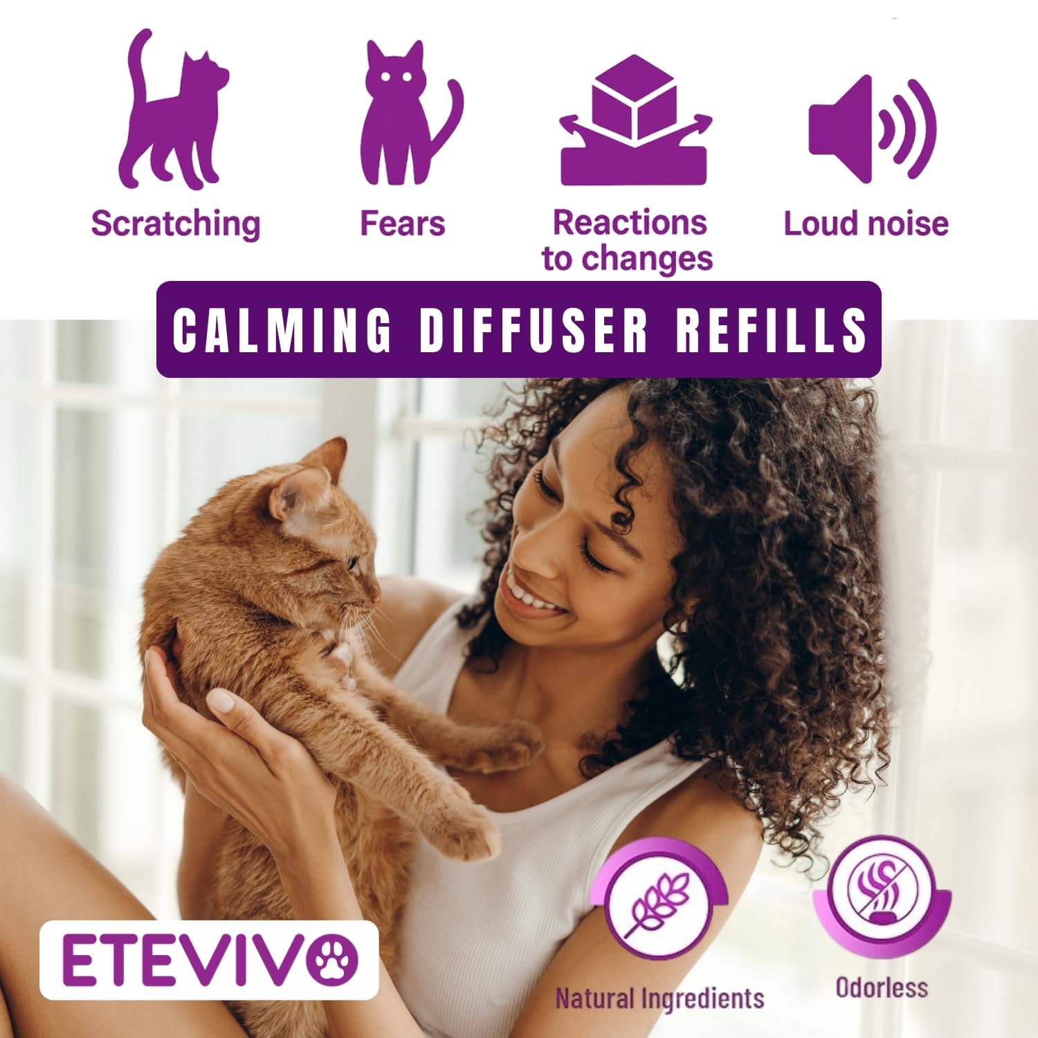 Havre zen pour chat: habitat calme grâce à ETEVIVO.