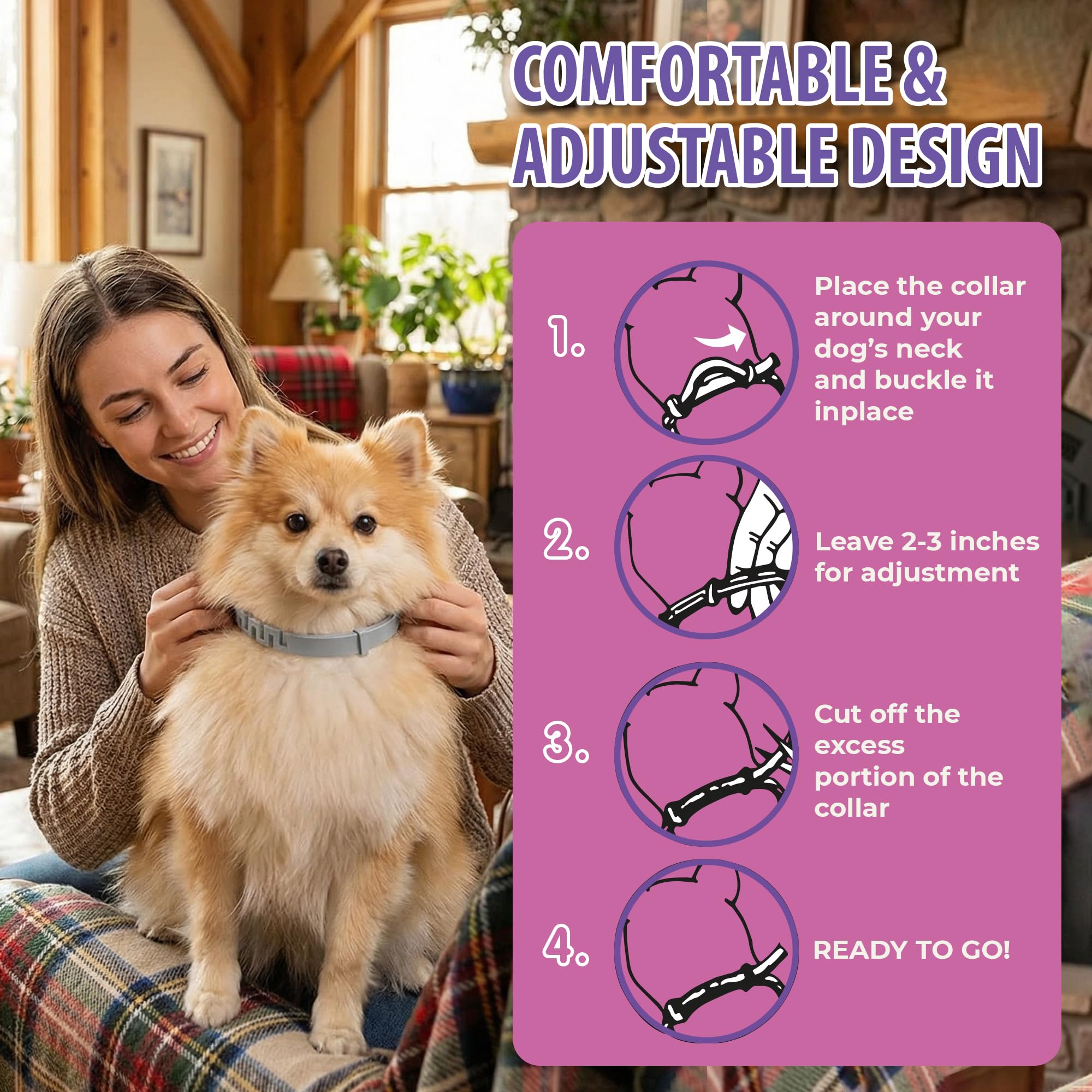 ETEVIVO pack 4 collier chien 05 – solution pratique et économique.