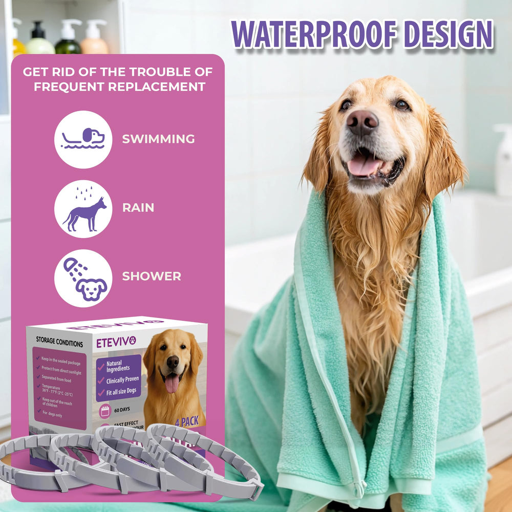 ETEVIVO pack 4 collier chien 06 – fournie la tranquillité en toute occasion.