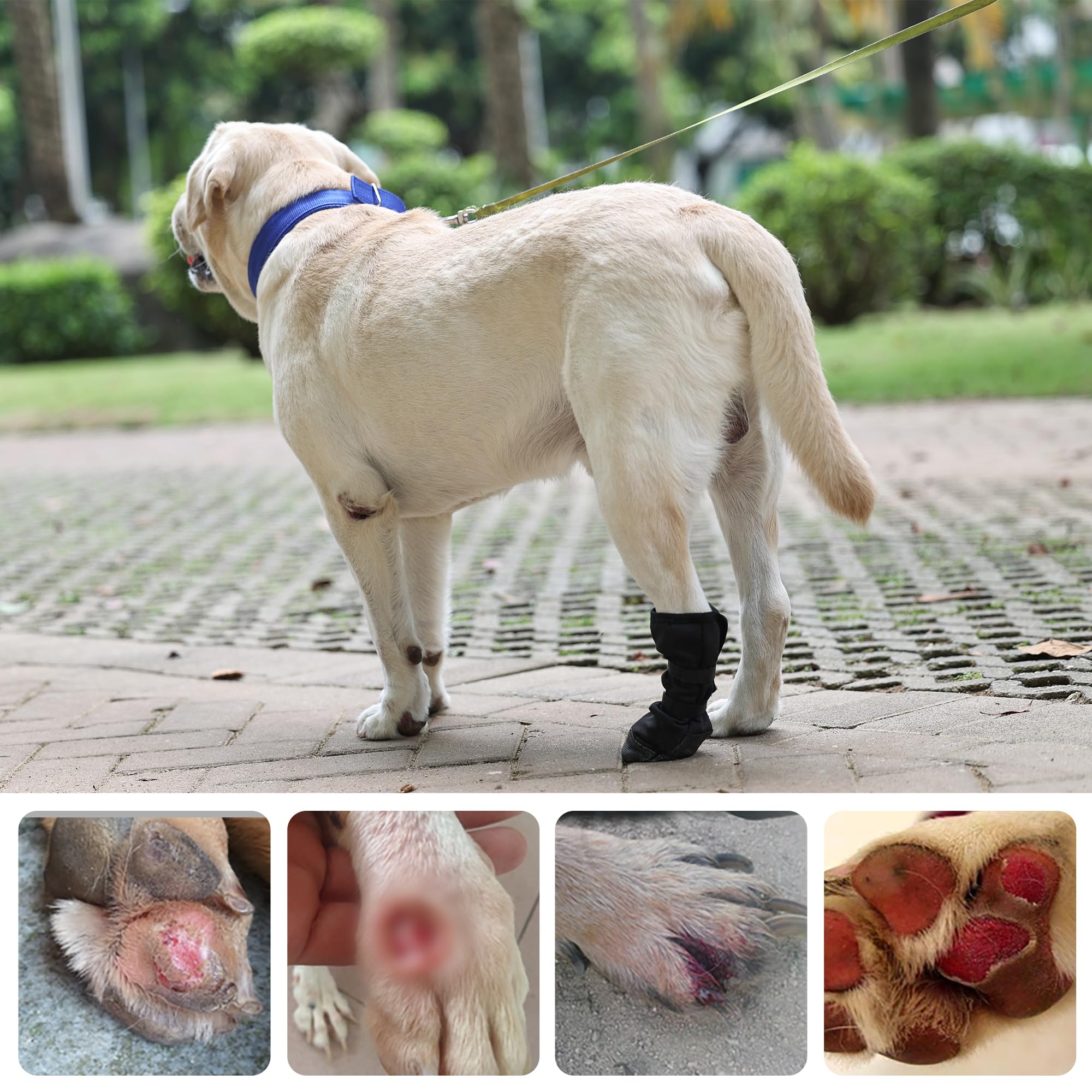 ETIAL botte patte chien tailles ajustables, ajustement sûr pour toutes tailles.