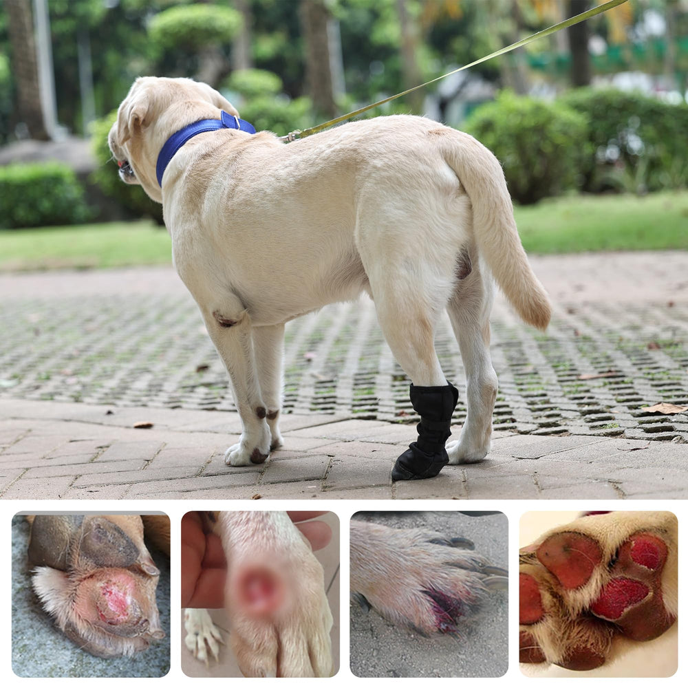 ETIAL botte patte chien tailles ajustables, ajustement sûr pour toutes tailles.
