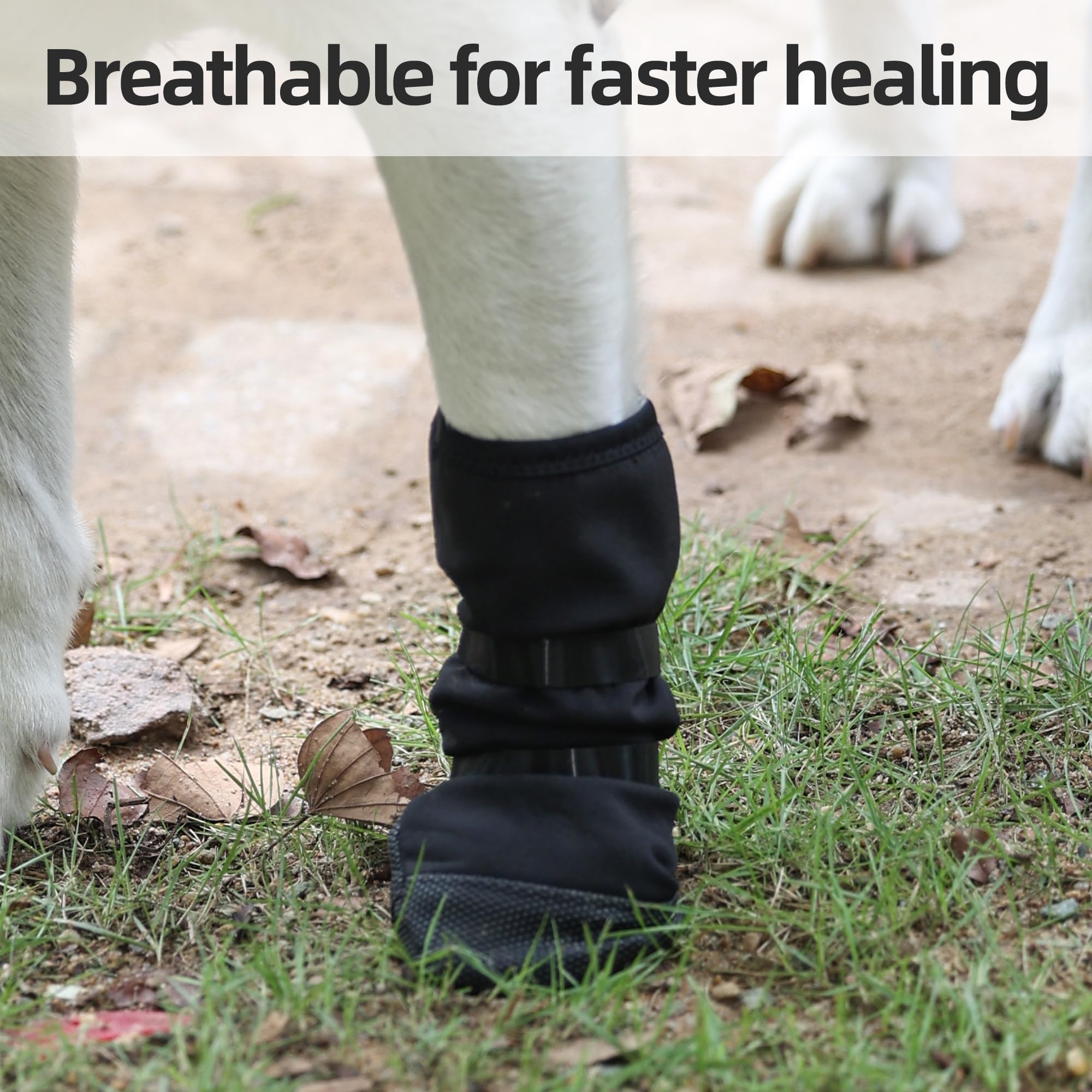 ETIAL botte patte chien usage interieur-exterieur, polyvalente pour patte blessée.