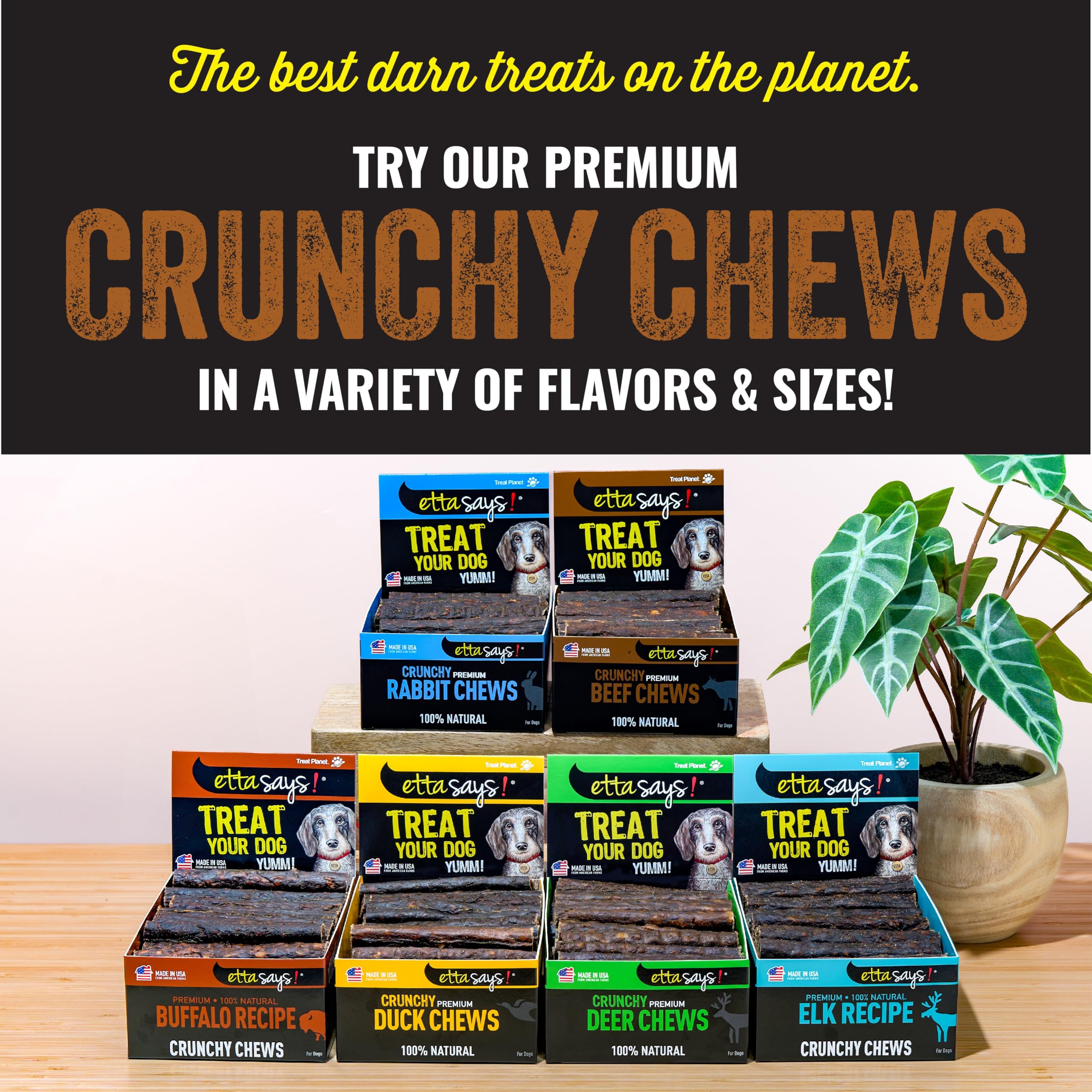 Etta Says! occupation pour chiens, 4-5 pouces, stimulant la mastication