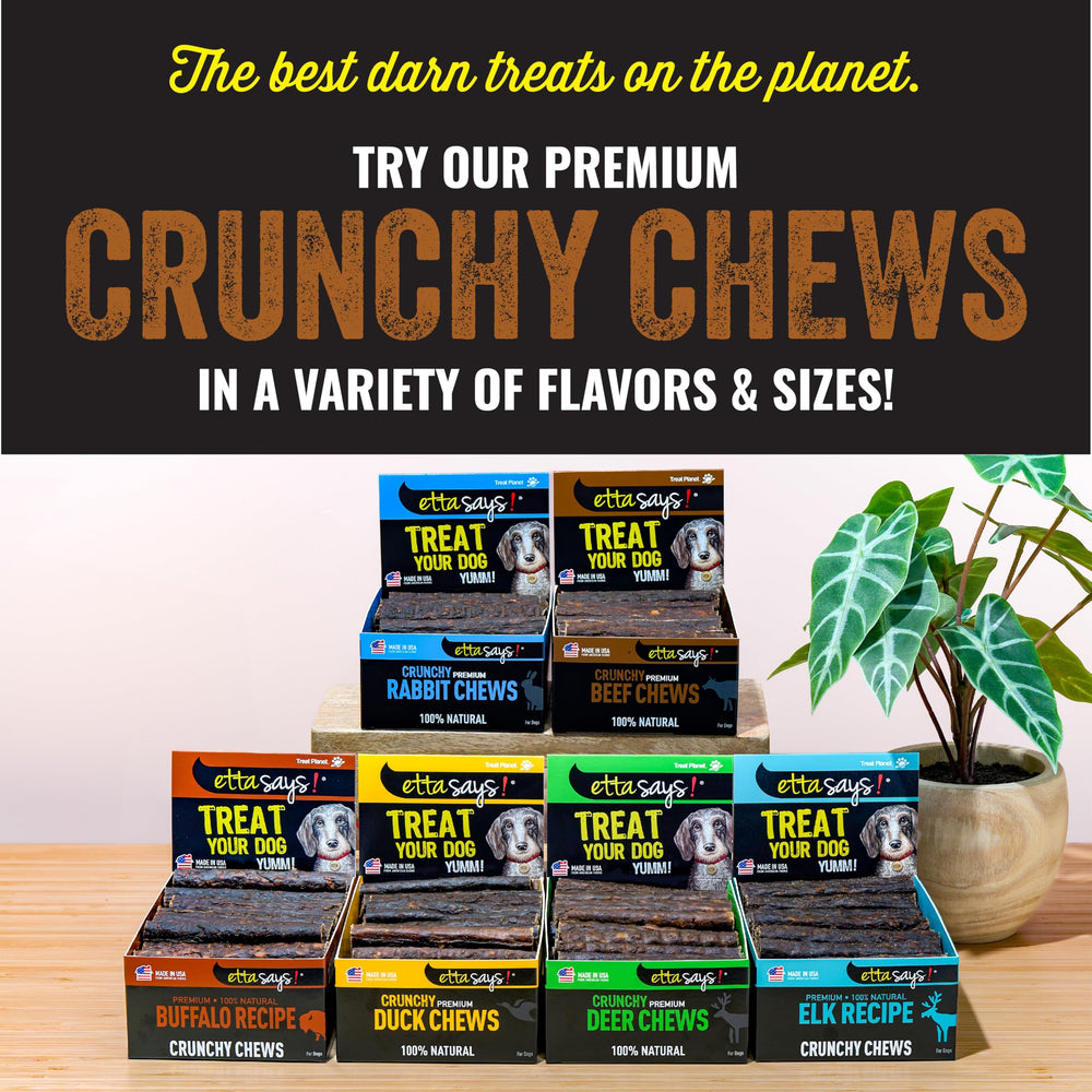 Etta Says! occupation pour chiens, 4-5 pouces, stimulant la mastication