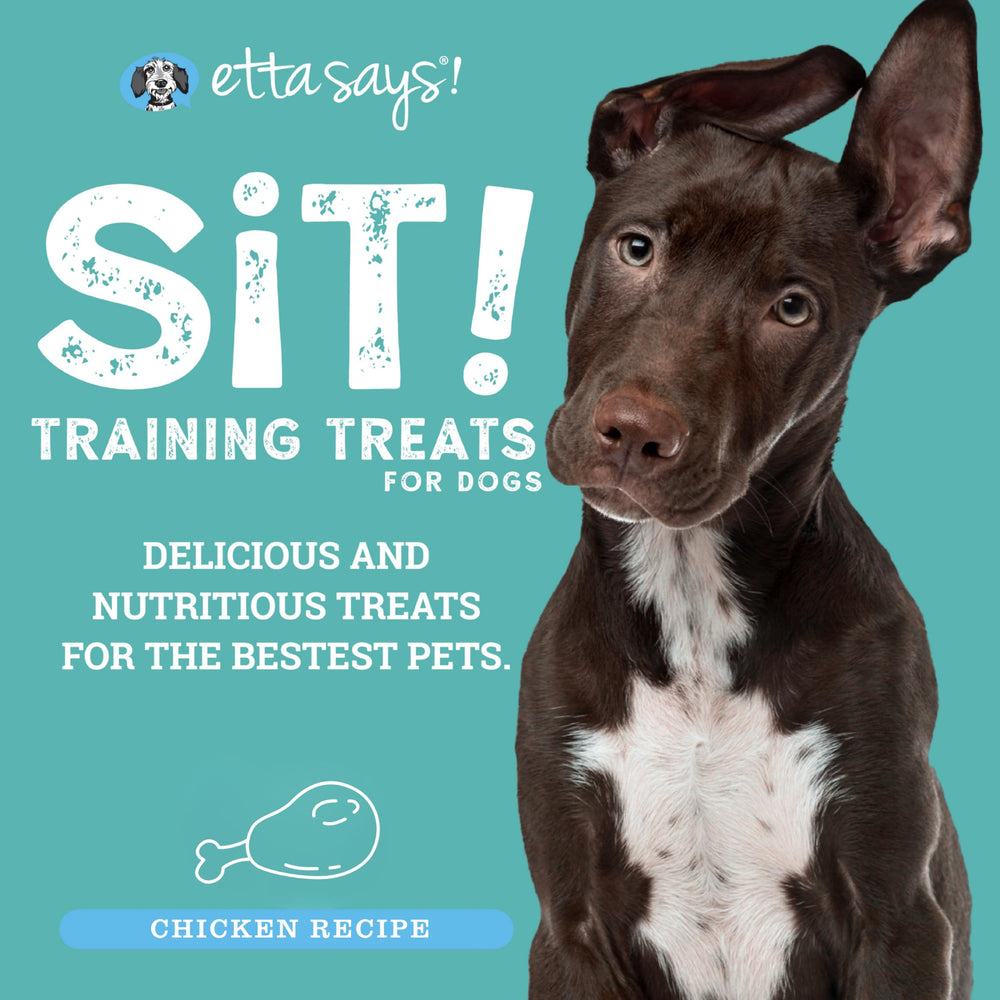 etta says! Sit — petites bouchées au poulet, adaptées à tous les chiens et chiots.