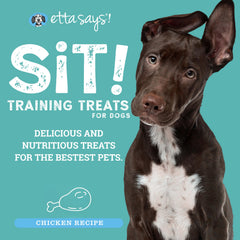 etta says! Sit — petites bouchées au poulet, adaptées à tous les chiens et chiots.