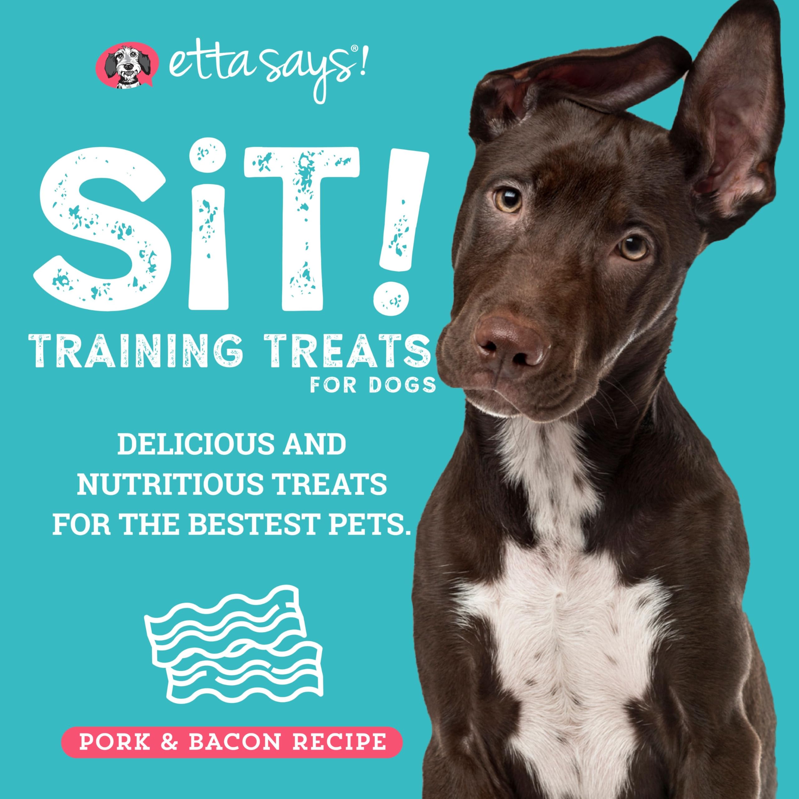 etta says! paquet de 16 onces - friandises porc-bacon doux, pratique pour les séances et les promenades.