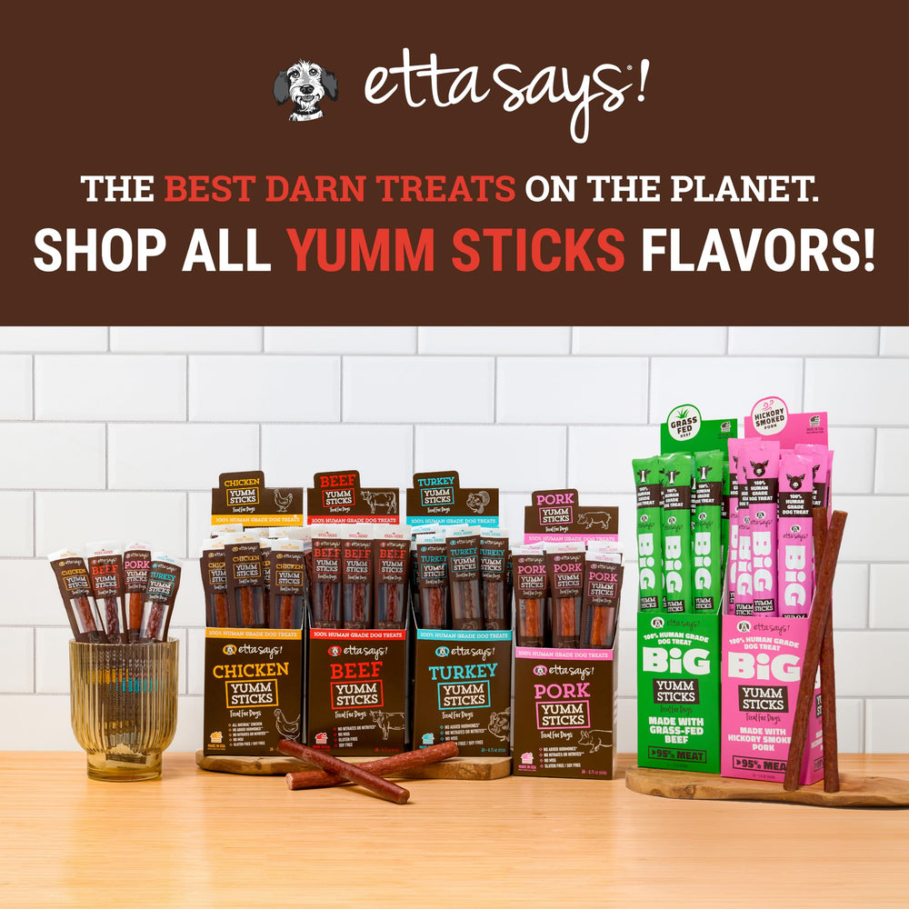 etta says! Yumm Sticks pour chiens actifs, récompense nutritive en promenade.