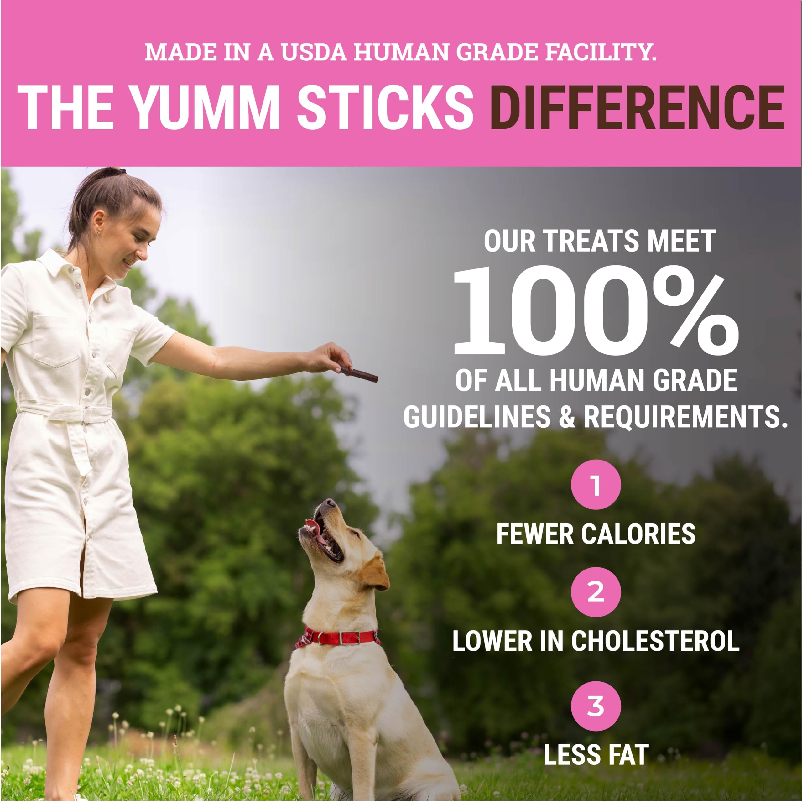 etta says! Yumm Sticks sans additifs, snack naturel pour chien.