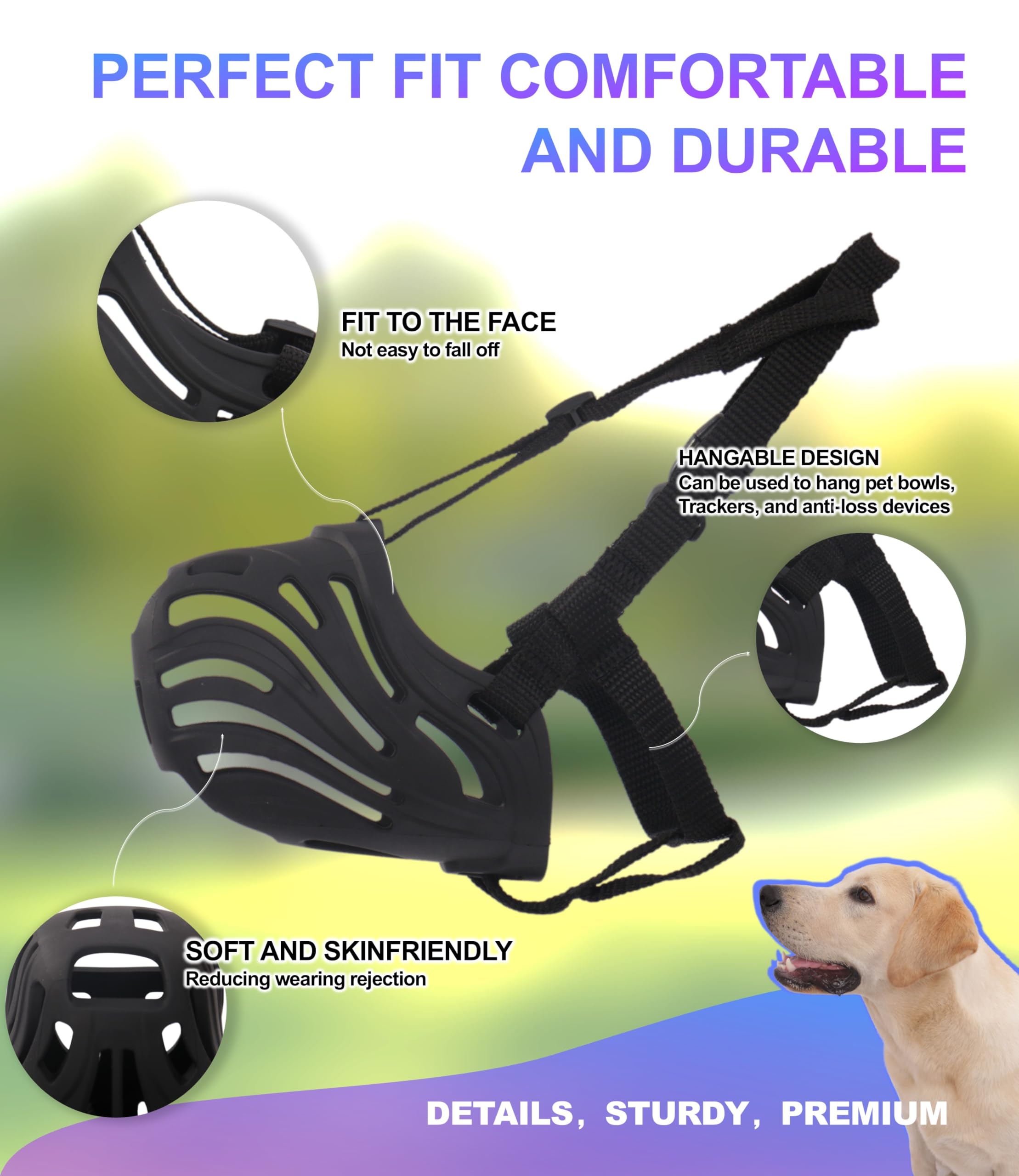 Le chien porte la muselière lors de promenades, usage pratique.