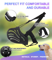 Le chien porte la muselière lors de promenades, usage pratique.