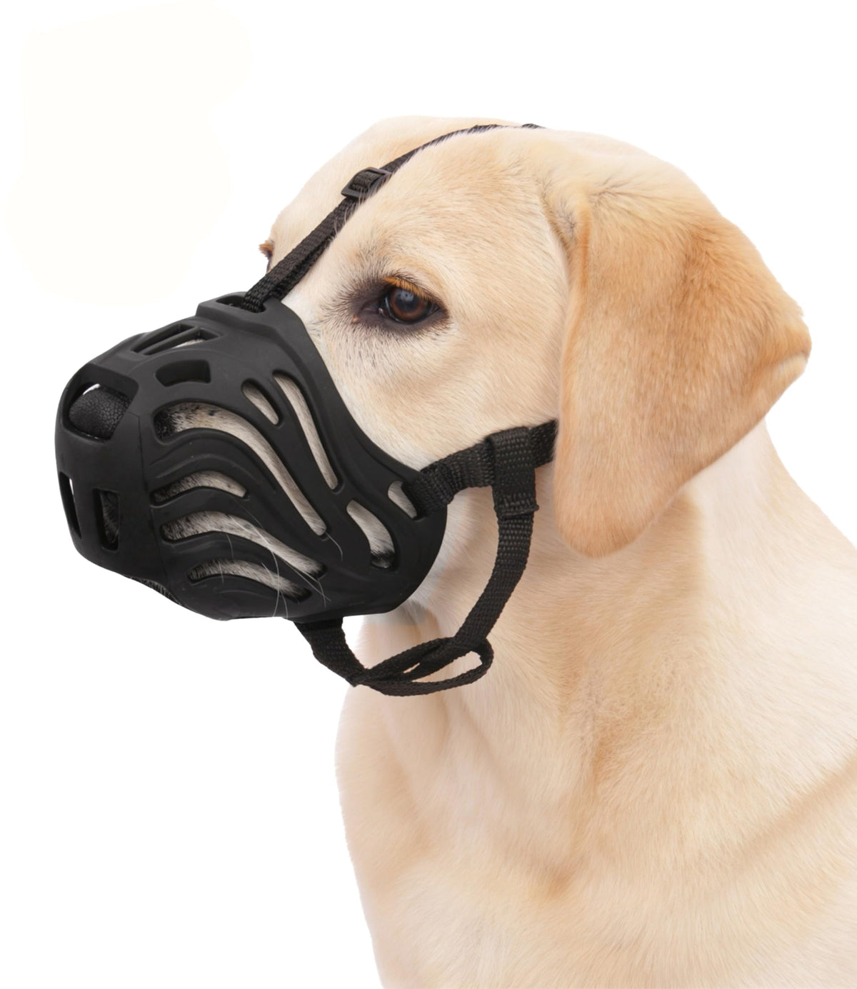 Muselière panier en silicone Eudemond pour chien grand, vue avant, confort respirant.