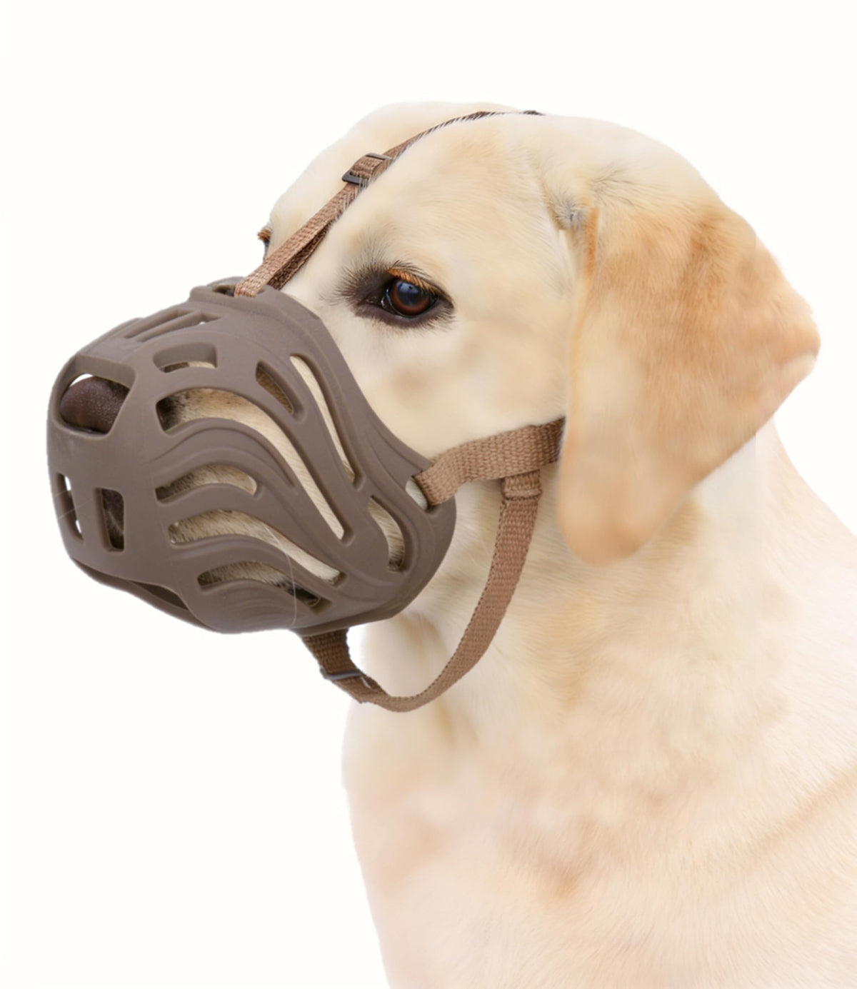 Muselière panier Eudemond en silicone pour grand chien, confort et respiration lors des promenades.