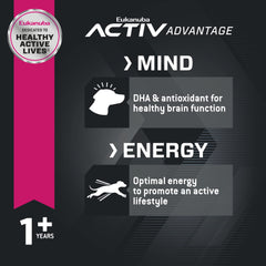 Eukanuba Adult Small Bites DentaDefense 3D avec polyphosphate pour l’hygiène dentaire.