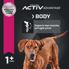 Soutien des muscles et articulations grâce à des nutriments.