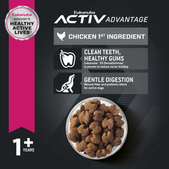 Portions précises pour repas équilibrés des grands chiens.