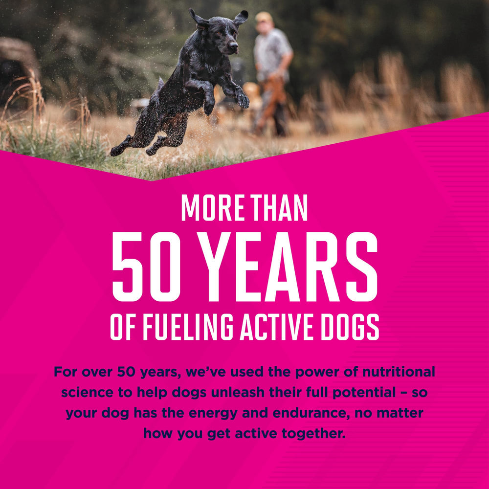 Aide hydratation chez le chien actif avec texture humide Eukanuba