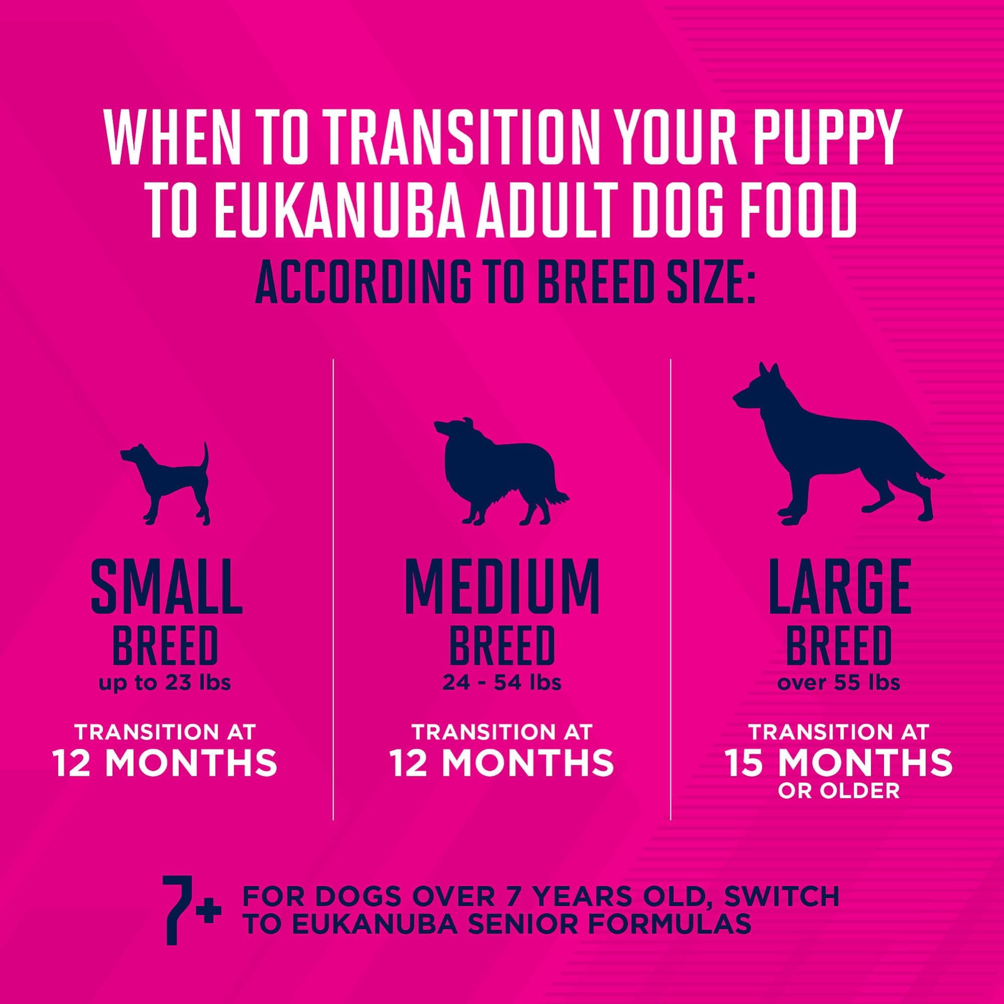 Chiot dans bol en train de manger la pate humide Eukanuba
