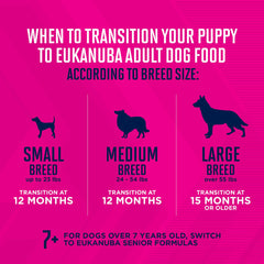 Chiot dans bol en train de manger la pate humide Eukanuba
