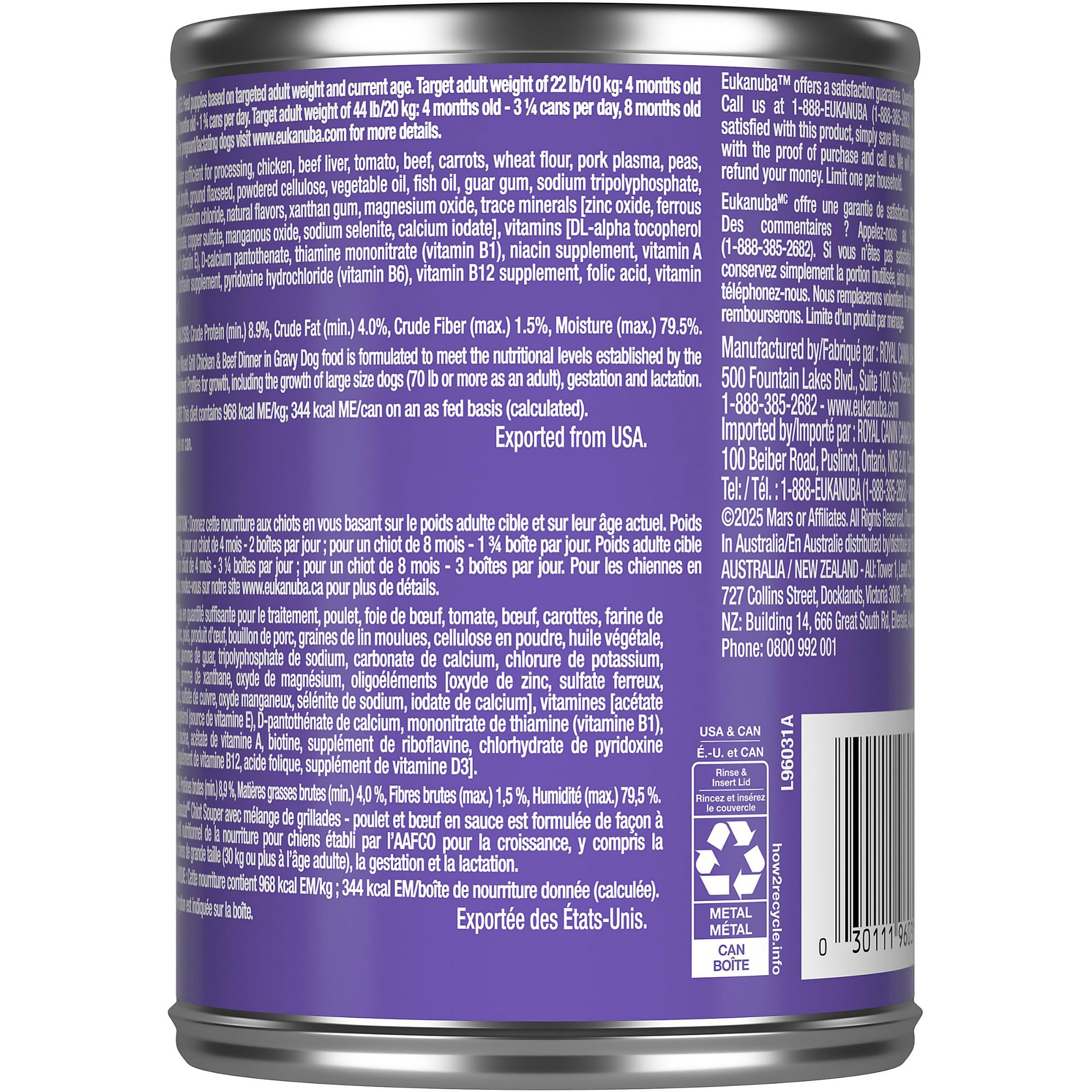 Chiot appreciant la pate en sauce Eukanuba lors du repas
