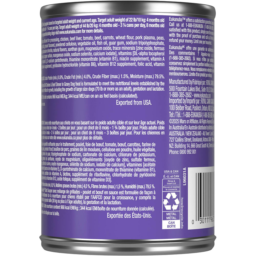 Chiot appreciant la pate en sauce Eukanuba lors du repas