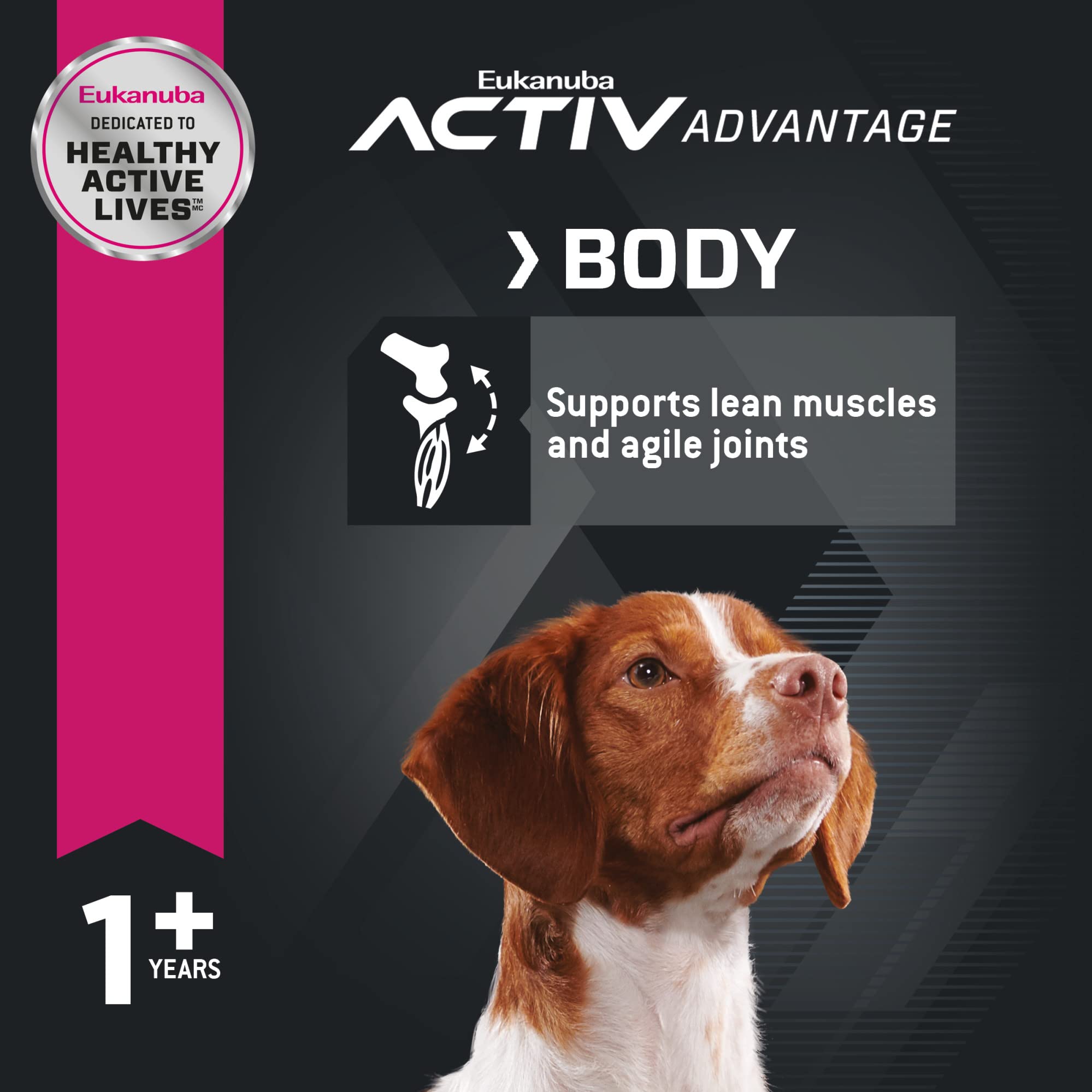 Eukanuba DHA et vitamine E soutenant cerveau et attention.