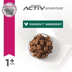 Bol chien avec croquettes Eukanuba – prêt à bouger grâce à la nutrition adaptée.