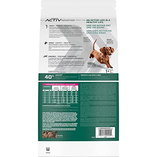 Croquettes Eukanuba Fit Body Control – granulats adaptés pour énergie soutenue.
